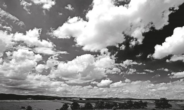 <span class="entry-title-primary">Tavaszi felhők</span> <span class="entry-subtitle">Nemes Nagy Ágnes verse</span>