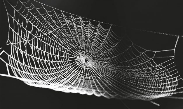 <span class="entry-title-primary">Micsoda nyár</span> <span class="entry-subtitle">Bogdán József verse</span>