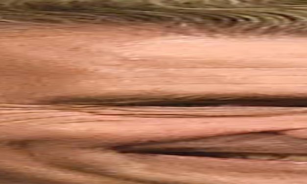 <span class="entry-title-primary">[Anyám háza vén, talán]</span> <span class="entry-subtitle">Volodimir Fedinisinec verse</span>