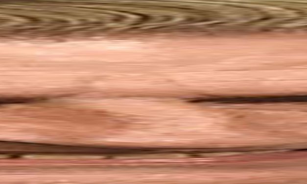 <span class="entry-title-primary">Dal az élő nyelvről</span> <span class="entry-subtitle">Ivan Petrovcij verse</span>