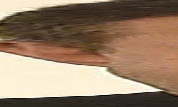 <span class="entry-title-primary">XVI. szonett</span> <span class="entry-subtitle">William Shakespeare költeménye</span>