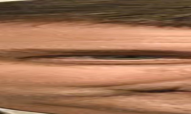 <span class="entry-title-primary">XVII. szonett</span> <span class="entry-subtitle">William Shakespeare költeménye</span>