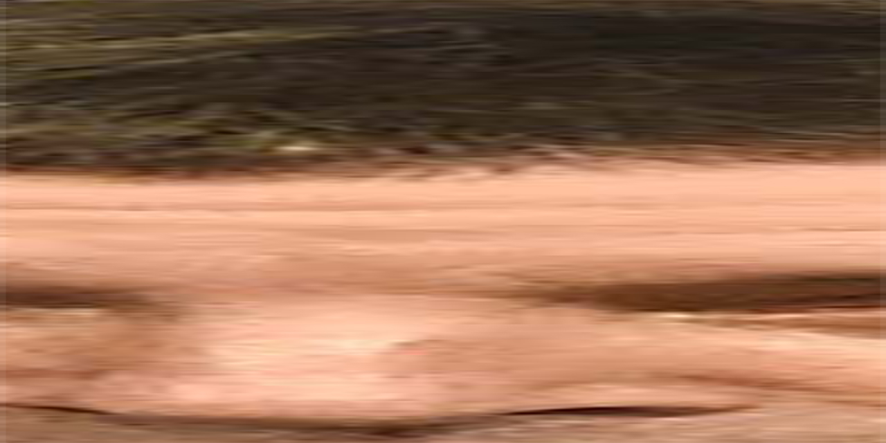 <span class="entry-title-primary">XVIII. szonett</span> <span class="entry-subtitle">William Shakespeare költeménye</span>