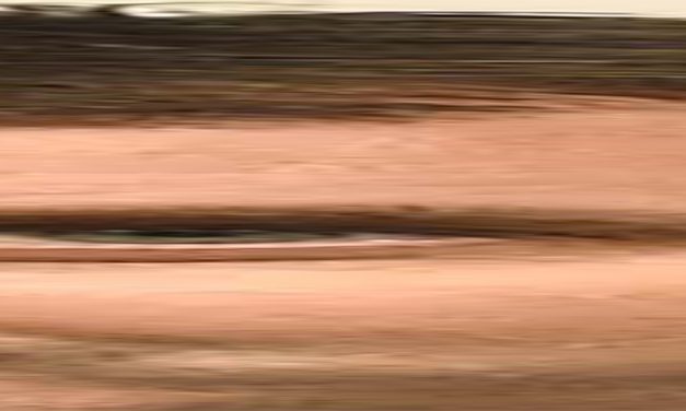 <span class="entry-title-primary">XIX. szonett</span> <span class="entry-subtitle">William Shakespeare költeménye</span>