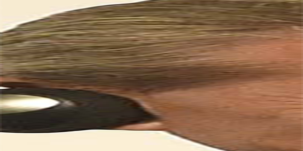 <span class="entry-title-primary">záporban a fény utcai piacon</span> <span class="entry-subtitle">Szabó Palócz Attila verse</span>