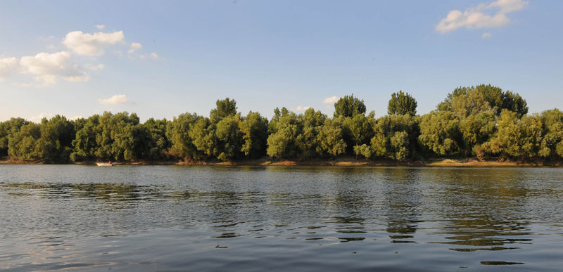 Adorjáni férfit keresnek a Tiszában