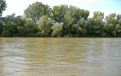 Megtalálták a Tiszában eltűnt férfi holttestét