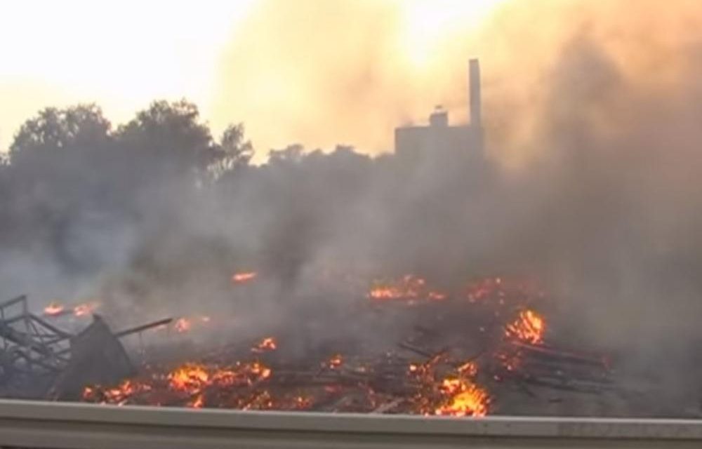 Egy 81 éves belgrádi férfit vettek őrizetbe a Császár-tó rezervátumot is érintő tűzeset miatt