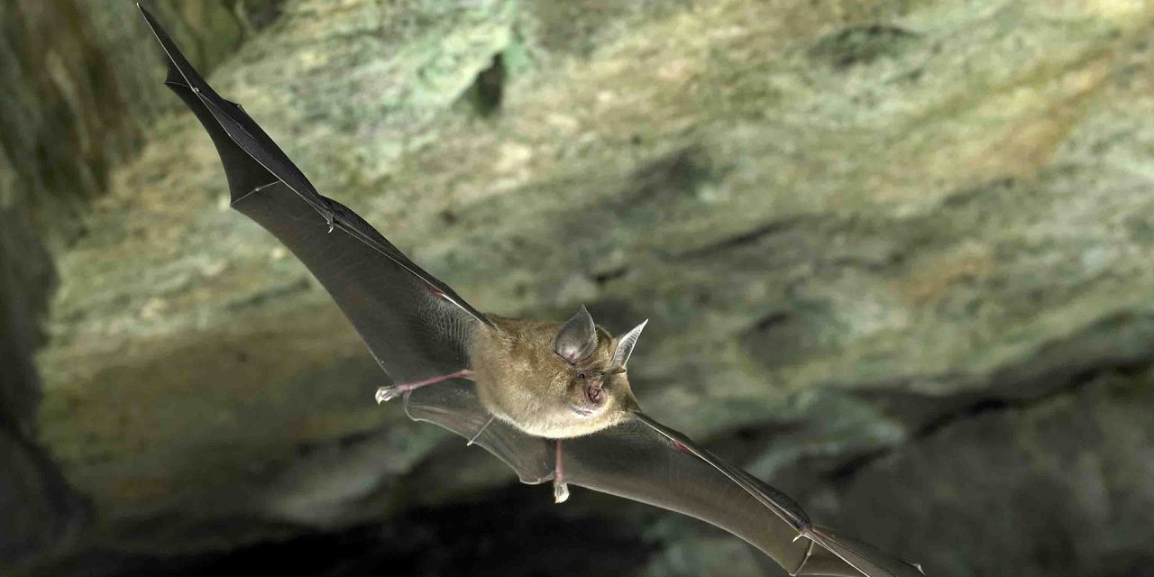 Ma kezdődik az őszi ülésszak a szerb parlamentben