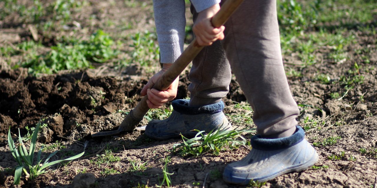 <span class="entry-title-primary">Közgazdászok: Muszáj lesz módosítani a nyugdíjkorhatárt</span> <span class="entry-subtitle">A szakértők szerint mivel tovább élünk, természetes elvárás, hogy tovább is dolgozzunk</span>