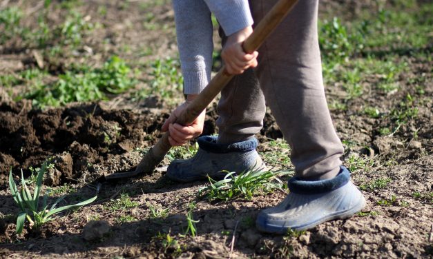 Közgazdászok: Muszáj lesz módosítani a nyugdíjkorhatárt