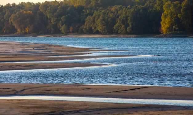 <span class="entry-title-primary">A bácskai Duna-mente szépségeinek nyomában</span> <span class="entry-subtitle">Fotós szafarin örökítik meg vidékünk szépségeit</span>