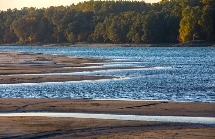 <span class="entry-title-primary">A bácskai Duna-mente szépségeinek nyomában</span> <span class="entry-subtitle">Fotós szafarin örökítik meg vidékünk szépségeit</span>