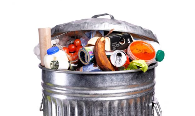 Évente negyed millió tonna étel kerül szemétre Szerbiában