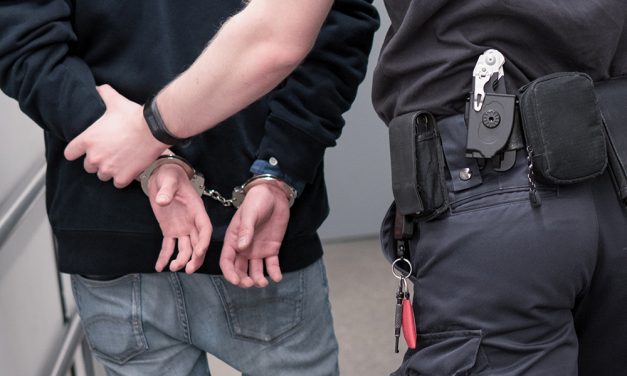 <span class="entry-title-primary">Letartóztatták a gyümölcsmaffia harminchat tagját</span> <span class="entry-subtitle">Az Európai Unióból behozott gyümölcsöt és zöldségeket szerbiaiként adták el Oroszországnak – harminchat személyt tartóztattak le</span>