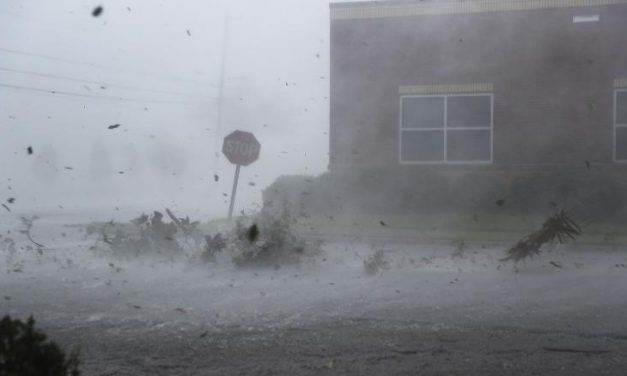 Halálos áldozata is van a Michael hurrikánnak