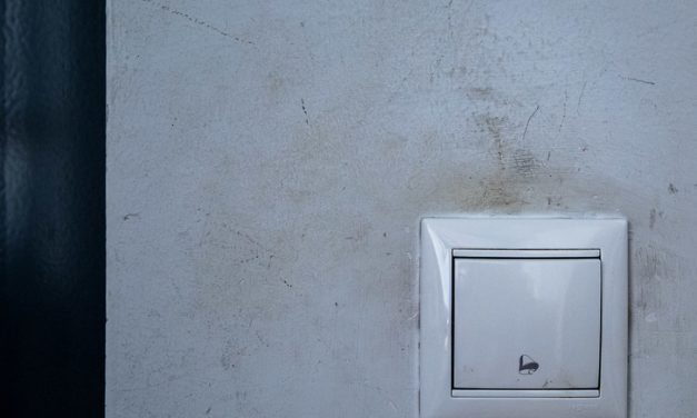 <span class="entry-title-primary">Nem is élt…</span> <span class="entry-subtitle">Szentgyörgyi László verse</span>