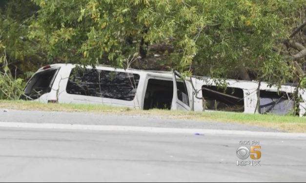 A New York államban húsz halálos áldozatot követelő autóbaleset sofőrjének nem volt jogosítványa