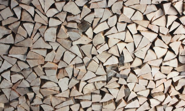 <span class="entry-title-primary">Fával a legolcsóbb</span> <span class="entry-subtitle">Megkezdődött a fűtési idény</span>