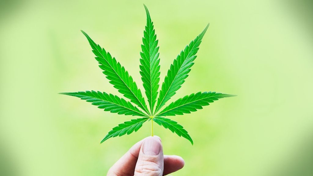 Koncert a marihuána legalizálásáért a szerb parlament előtt