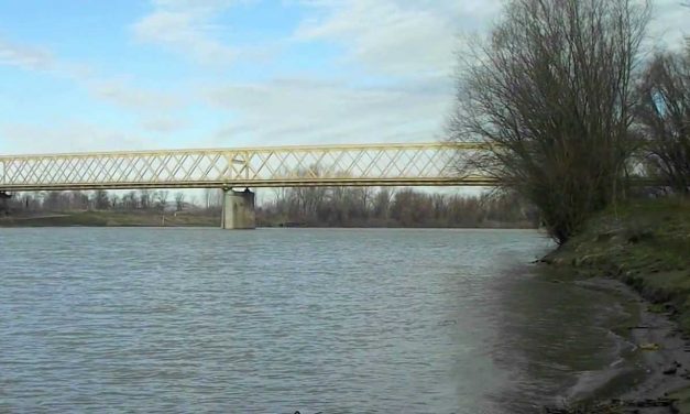 Zenta: Niši alvállalkozó az áldozat