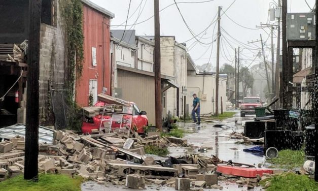 Hétre nőtt a Michael hurrikán áldozatainak száma