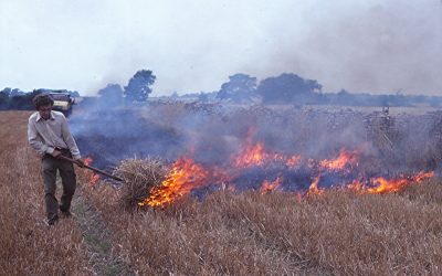 Az illetékesek figyelmeztetnek: Ne gyújtsák fel a füvet, aljnövényzetet és szemetet