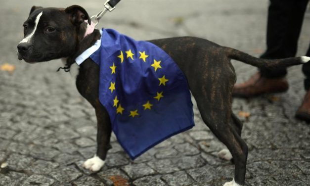 Vauferendum Londonban