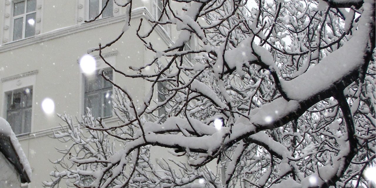 <span class="entry-title-primary">Ébredëzik a koma a kómábú</span> <span class="entry-subtitle">Brasnyó István verse</span>