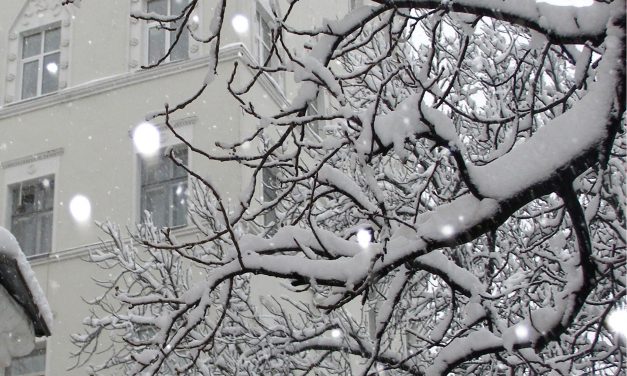 <span class="entry-title-primary">Ébredëzik a koma a kómábú</span> <span class="entry-subtitle">Brasnyó István verse</span>