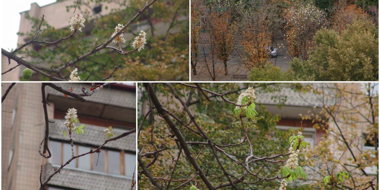 <span class="entry-title-primary">Amíg…</span> <span class="entry-subtitle">A. Túri Zsuzsa verse</span>