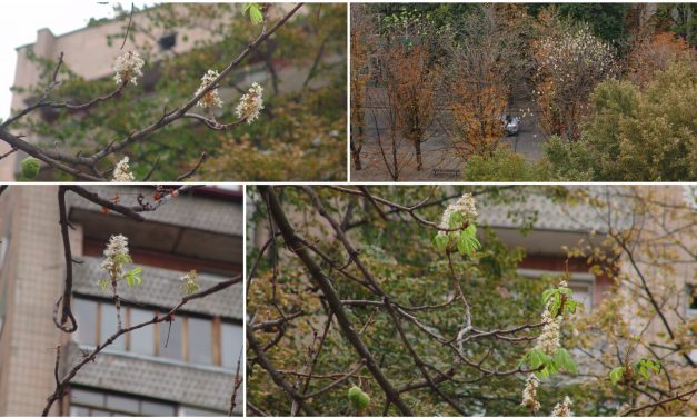 <span class="entry-title-primary">Amíg…</span> <span class="entry-subtitle">A. Túri Zsuzsa verse</span>