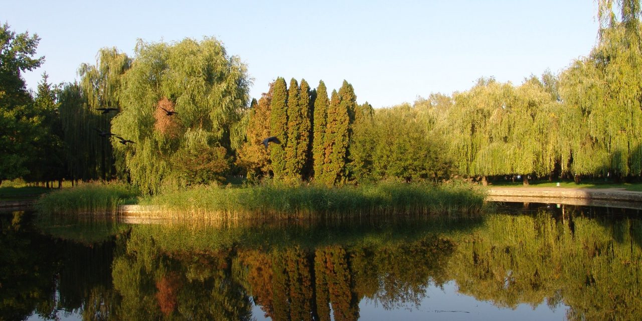 <span class="entry-title-primary">A tartótisztnek üzenem</span> <span class="entry-subtitle">Szabó Palócz Attila vizuális költeménye</span>