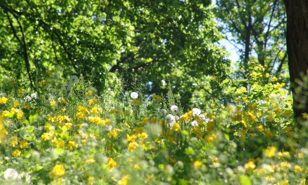 <span class="entry-title-primary">Önhibáján belül</span> <span class="entry-subtitle">Lantódy Clergymann Endre József verse</span>