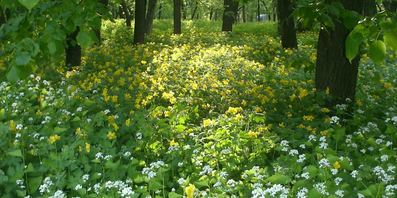 <span class="entry-title-primary">Mit kíván a magyar homeless</span> <span class="entry-subtitle">Röhrig Géza verse</span>