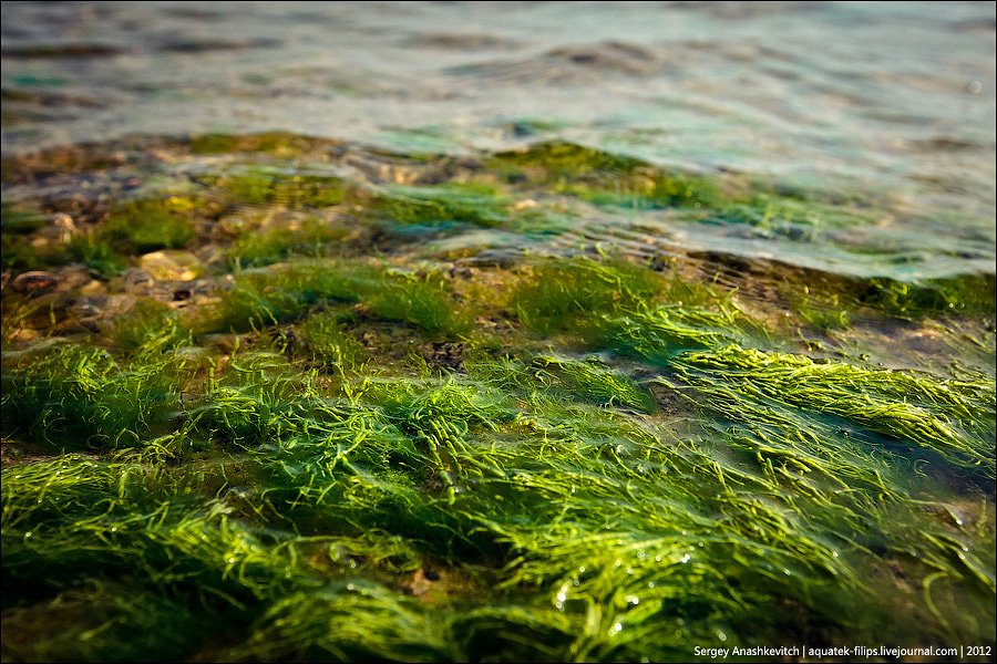 <span class="entry-title-primary">Lyuk a zászlón</span> <span class="entry-subtitle">Leé József verse</span>