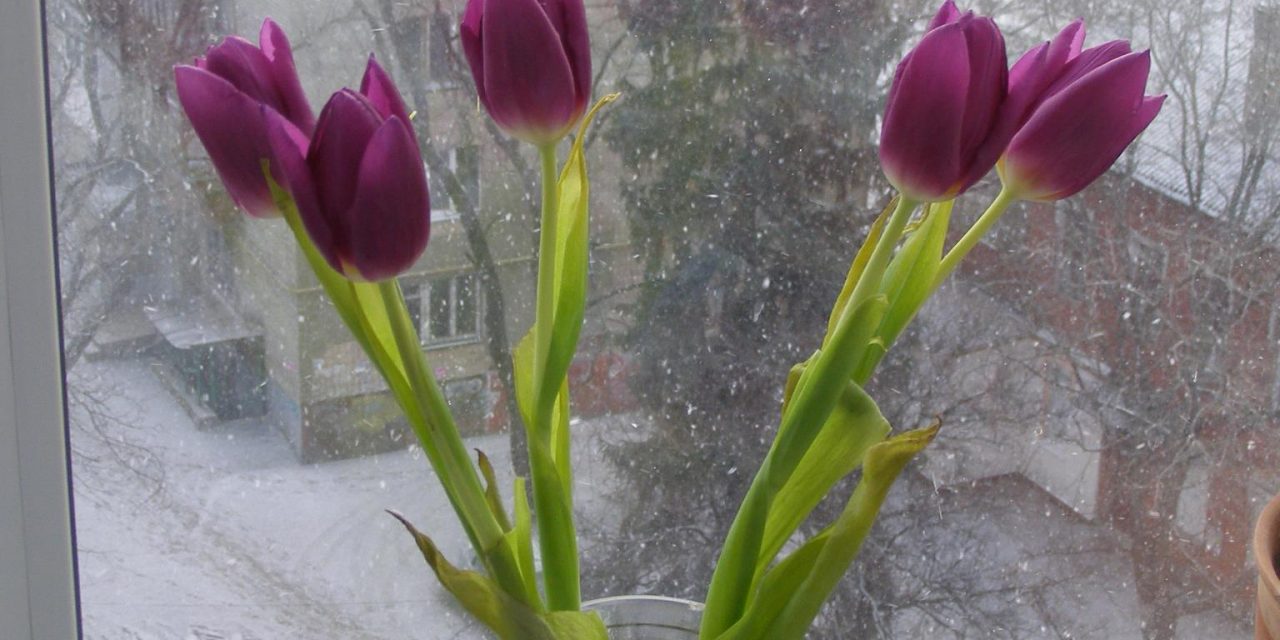 <span class="entry-title-primary">Öreg szerelmes</span> <span class="entry-subtitle">Laták István verse</span>