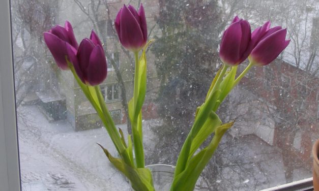 <span class="entry-title-primary">Öreg szerelmes</span> <span class="entry-subtitle">Laták István verse</span>