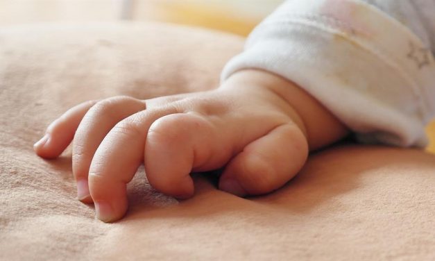 Egyetlen nap alatt 27 baba született Újvidéken