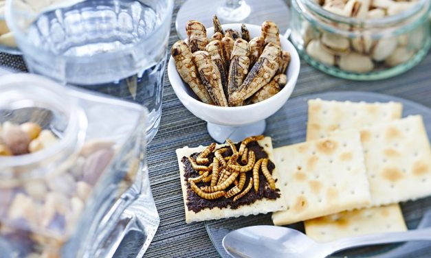 Megérkeztek az első sült rovarok az angol élelmiszerboltokba