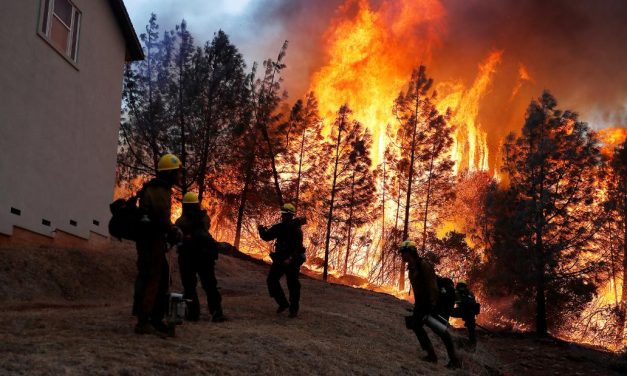 Újabb 14 holttestet találtak Kaliforniában