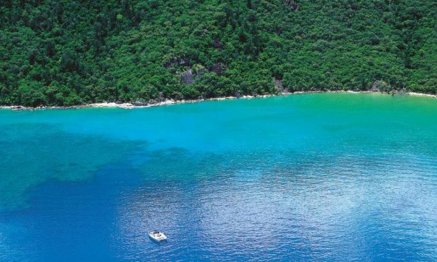 Cápatámadásba halt bele egy férfi Ausztráliában