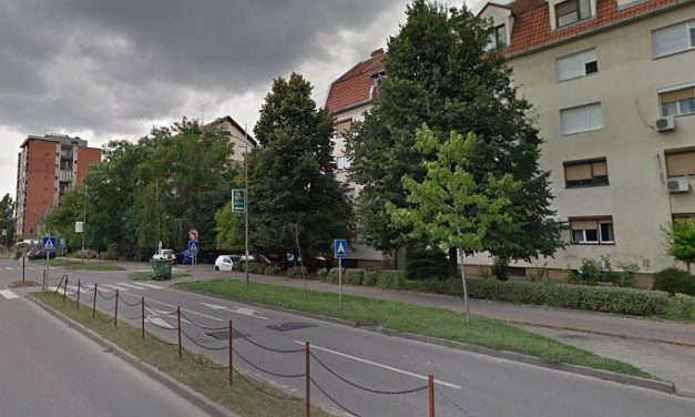 Letört egy faág, súlyosan megsérült egy nő Újvidéken