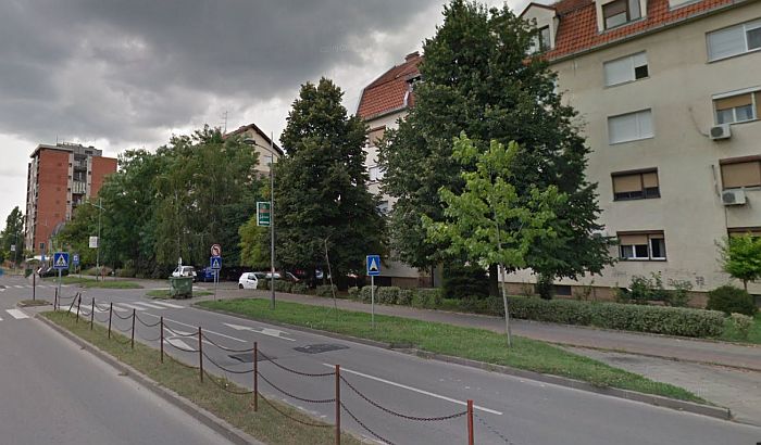 Letört egy faág, súlyosan megsérült egy nő Újvidéken