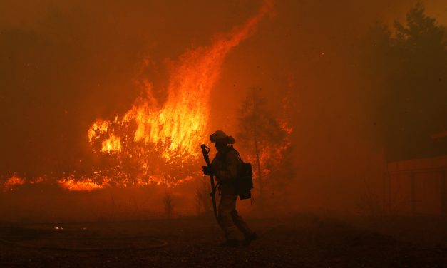 1300-ra nőtt az eltűntek száma Kaliforniában