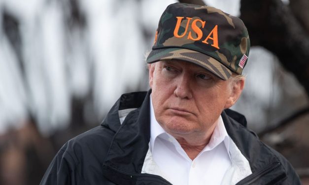 Trump szerint gereblyézéssel lehet megelőzni az erdőtüzeket