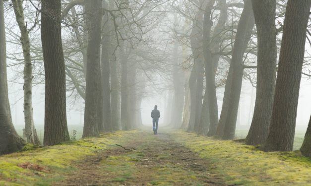 <span class="entry-title-primary">Ünnepek alatt – egyedül</span> <span class="entry-subtitle">KÉRDEZŐ: Ünnepek előtt</span>