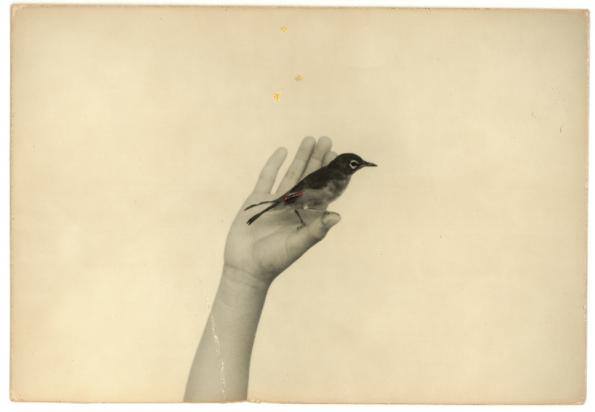 <span class="entry-title-primary">XXXII. szonett</span> <span class="entry-subtitle">William Shakespeare költeménye</span>