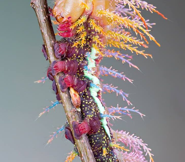 <span class="entry-title-primary">XXXVI. szonett</span> <span class="entry-subtitle">William Shakespeare költeménye</span>