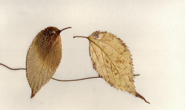 <span class="entry-title-primary">reggeli rutingyakorlatok</span> <span class="entry-subtitle">Bátai Tibor verse</span>